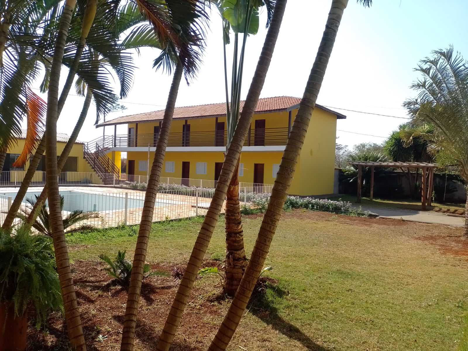 Jardim com palmeiras e vista para o prédio dos quartos